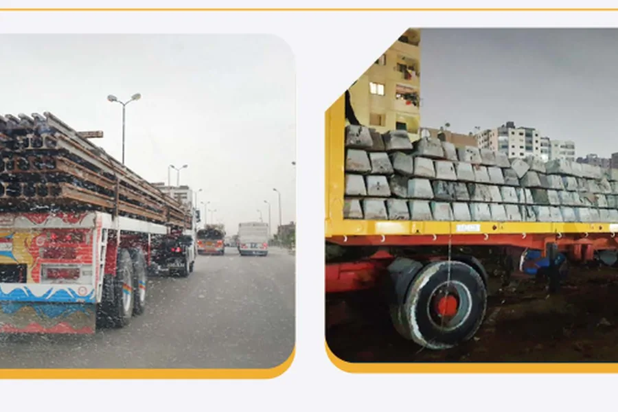 Ain Shams Project